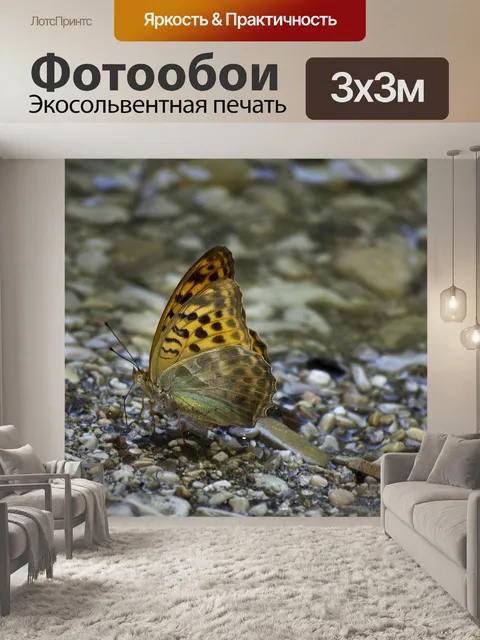 Фотообои Бабочка