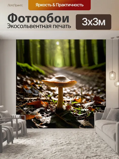 Фотообои гриб-псилоцибе полуланцетовидная с фантастическим коническим куполом на фоне старой лесной тропы