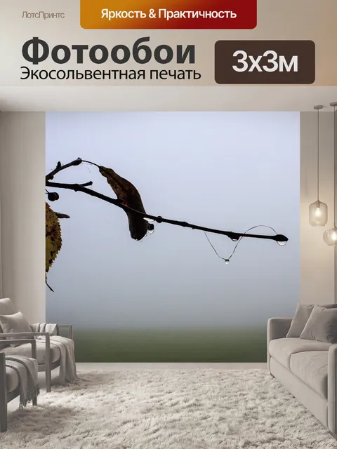 Фотообои Туман