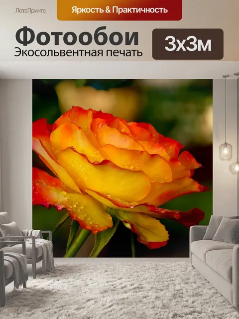Фотообои Розы