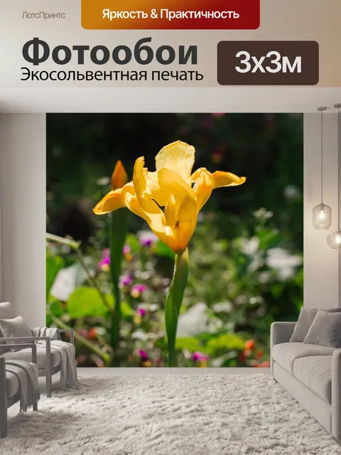 Фотообои Ирис