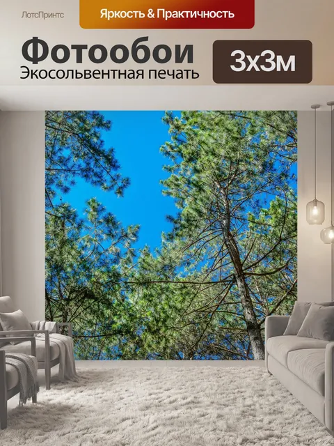 Фотообои Сосновый лес, Пан Унг, Мэй Хонг Сон