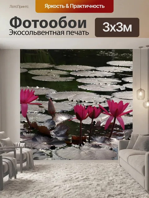 Фотообои Лотос