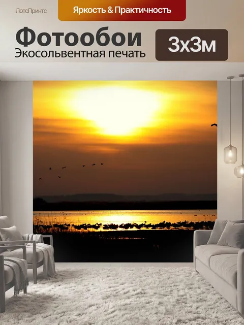 Фотообои Солнце