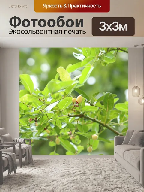 Фотообои Дерево