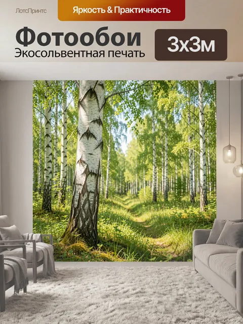 Фотообои Березовая роща с тропинкой