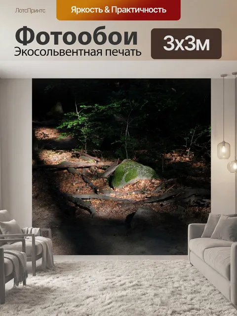 Фотообои Лес