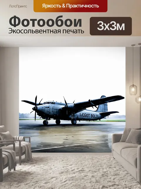 Фотообои аэропорт, утренний туман, старый самолёт ан-2 стоит на взлётной полосе под мягким светом, с отражениями…