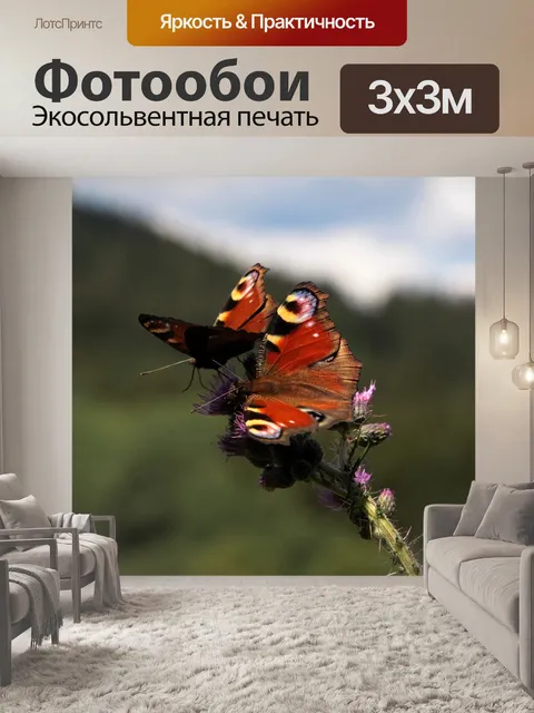 Фотообои Бабочка