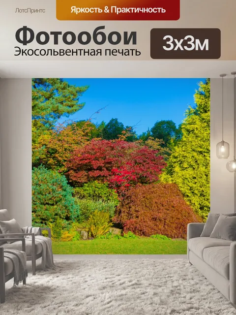 Фотообои Осень в парке