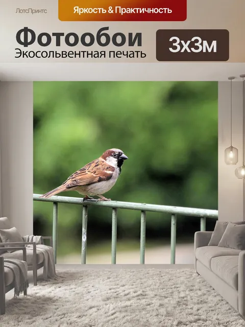 Фотообои Птица
