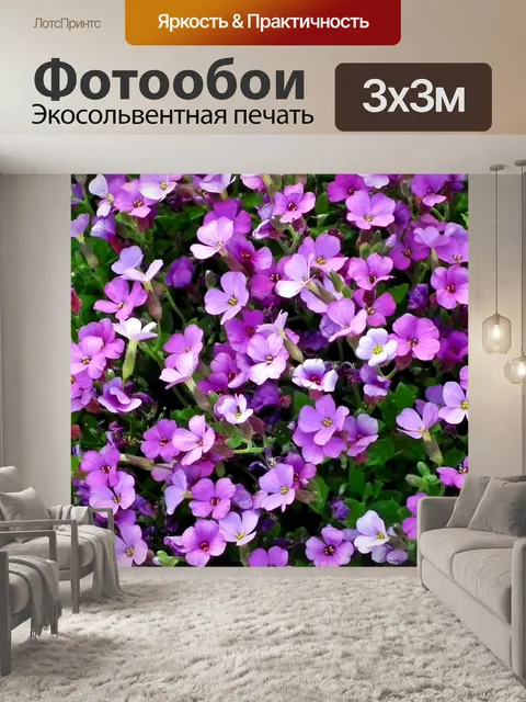 Фотообои Цветы
