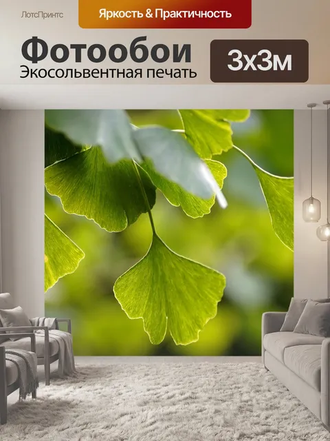 Фотообои Гинкго