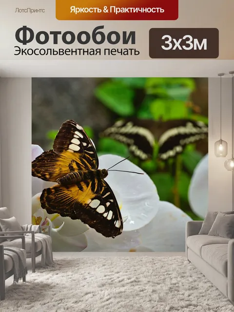 Фотообои Бабочки