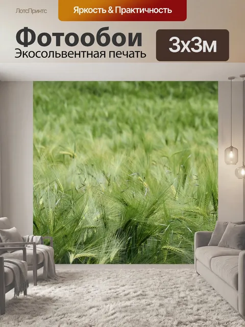 Фотообои Поля