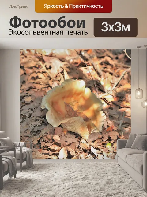 Фотообои Золотой лист грибов холст