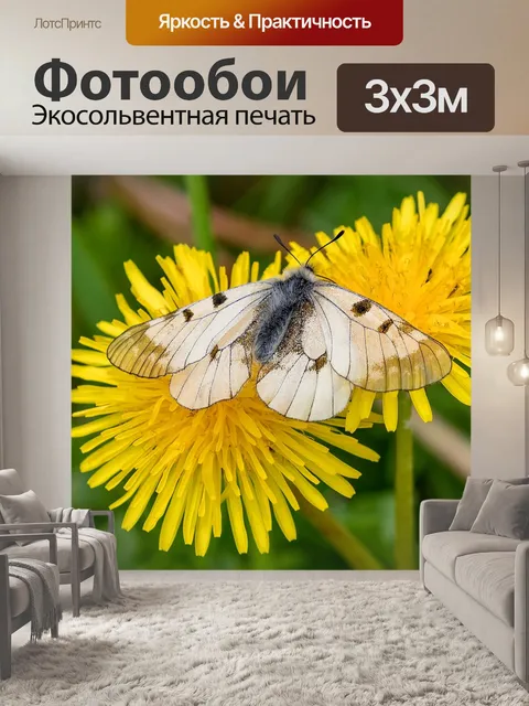 Фотообои Одуванчик