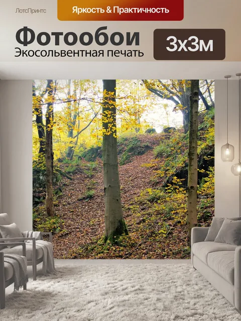 Фотообои Лес