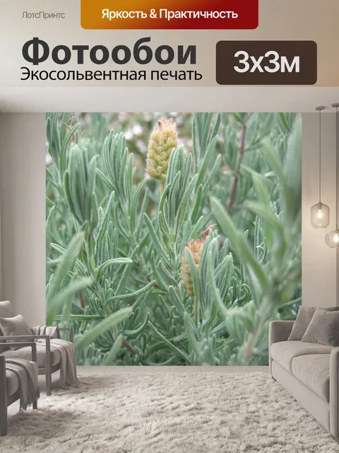 Фотообои Лаванда