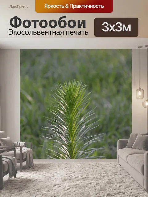 Фотообои Листья