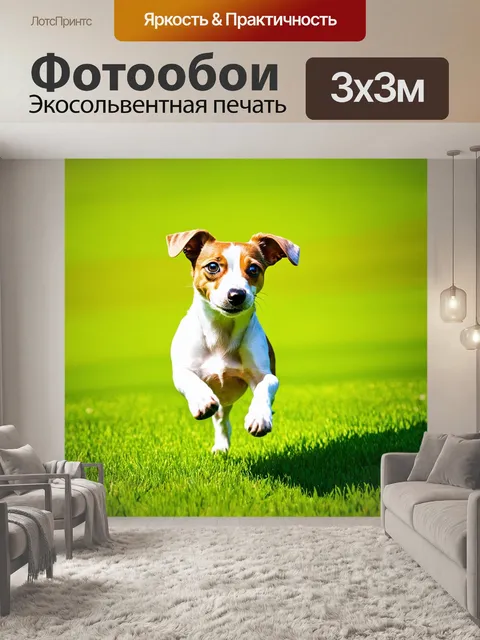 Фотообои изображение энергичной собаки породы джек-рассел-терьер, прыгающей по зелёной траве в солнечный день