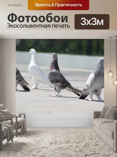 Фотообои Птицы