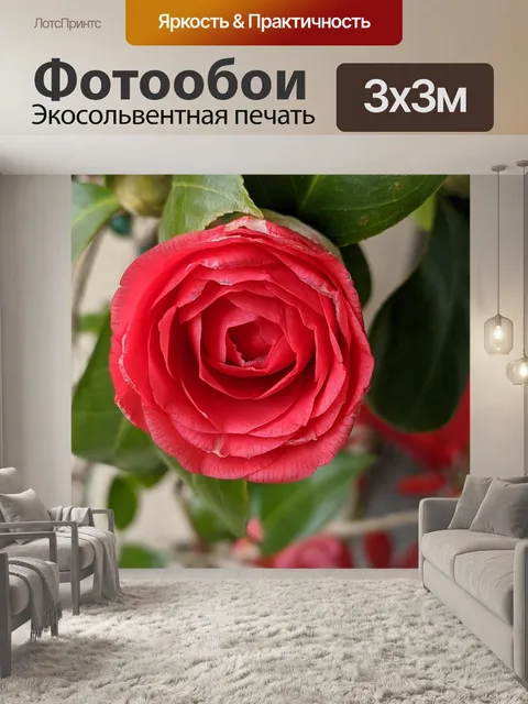 Фотообои Природа