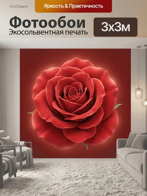 Фотообои Красная роза в глубине тени