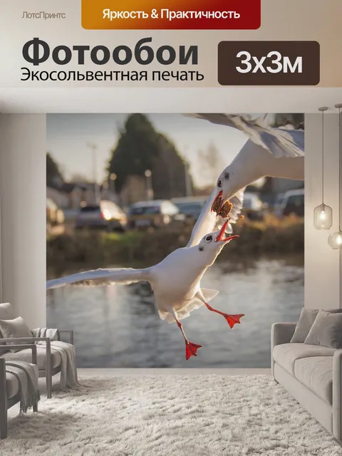 Фотообои Птицы