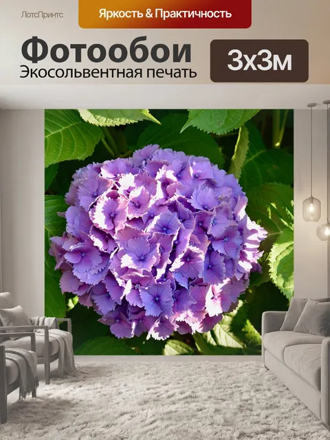 Фотообои Цветок