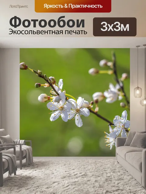 Фотообои Цветы