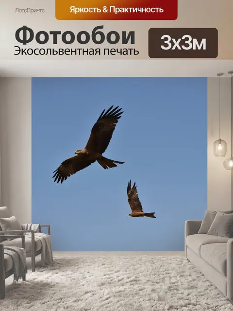 Фотообои Птица