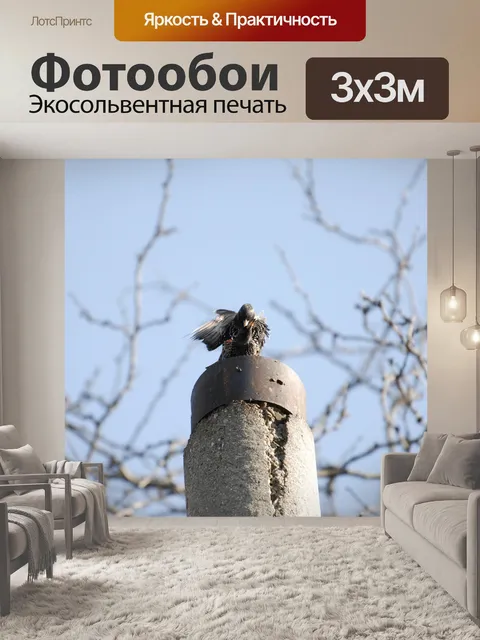 Фотообои Птицы