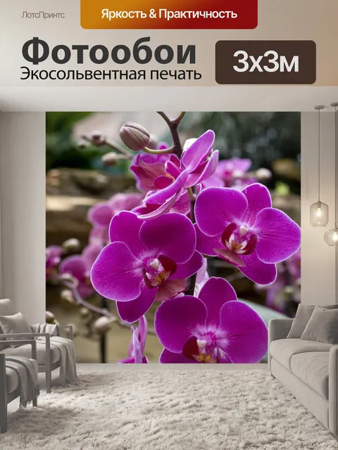 Фотообои Орхидеи