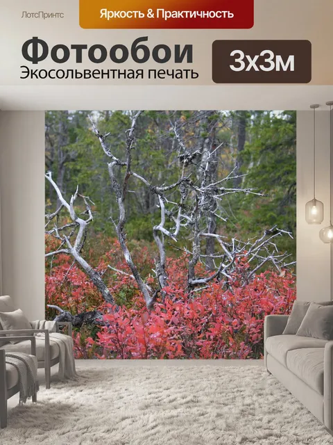 Фотообои Лес