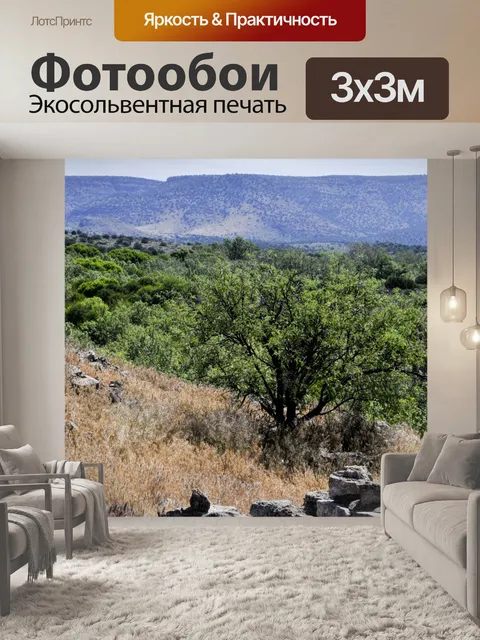 Фотообои Пейзаж