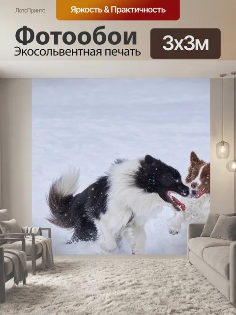 Фотообои Собаки