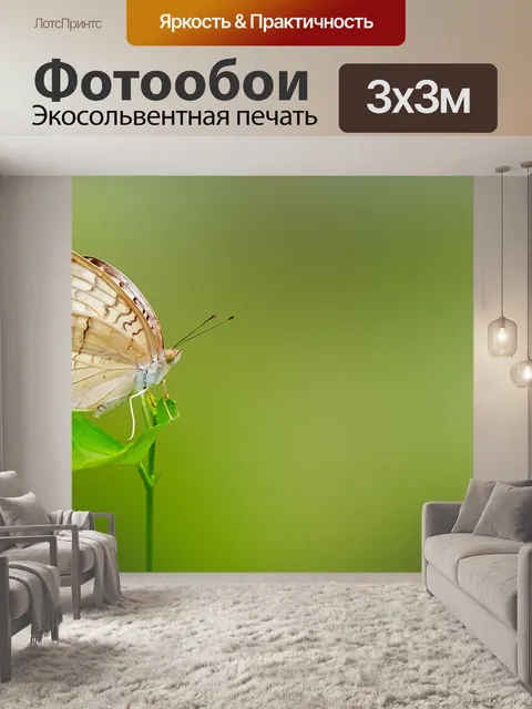 Фотообои Бабочка