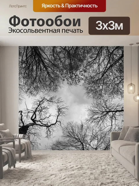 Фотообои Деревья без листьев