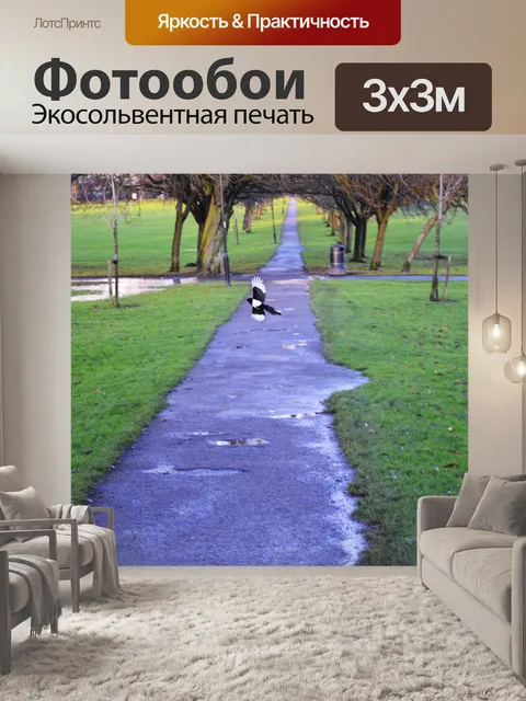 Фотообои полет сороки