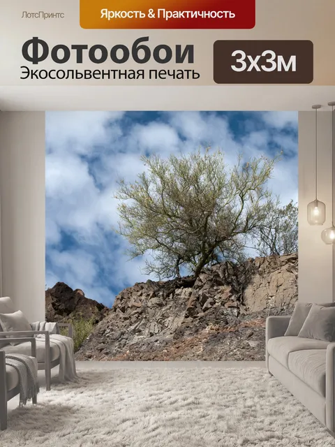 Фотообои Дерево пустыни