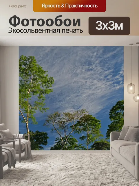 Фотообои Тропический лес