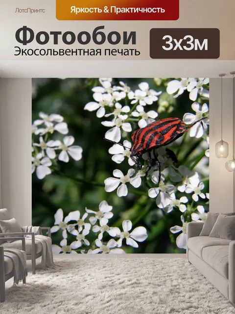 Фотообои Цветы