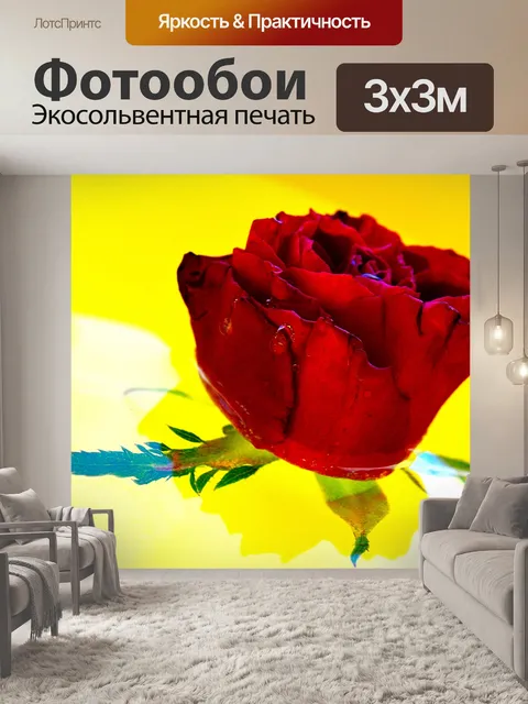 Фотообои Ницца цветов