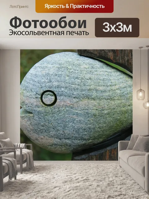 Фотообои Рыбы