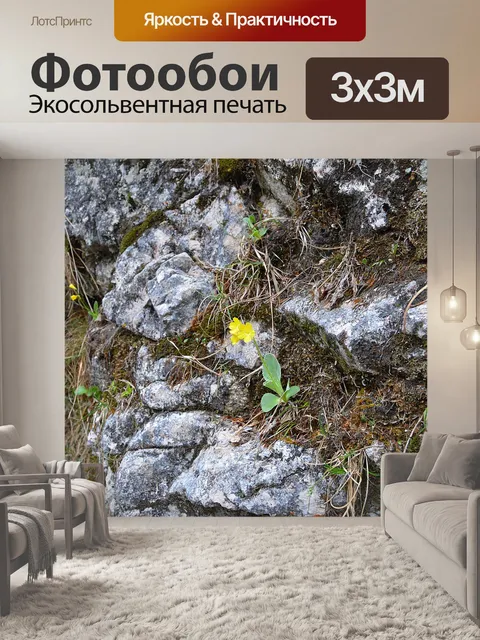 Фотообои Камень