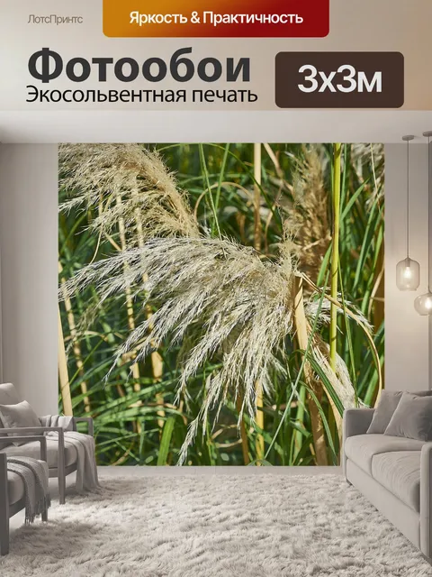 Фотообои Дерево