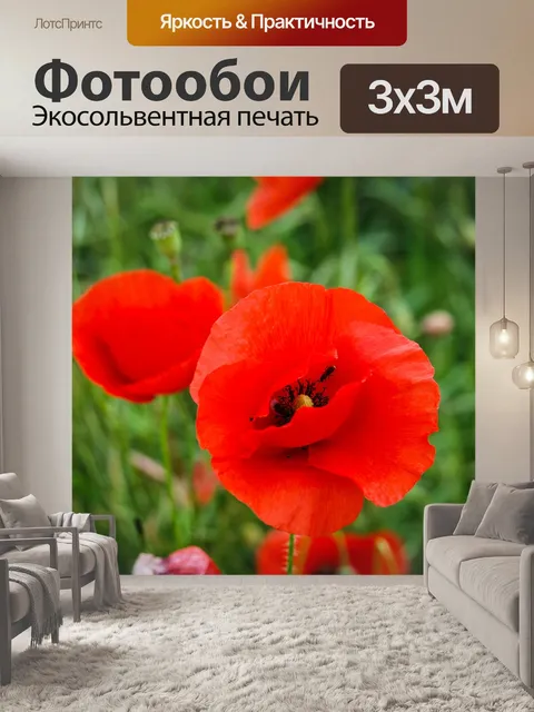 Фотообои Маки