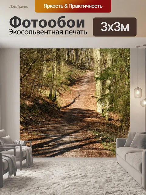 Фотообои Лесная тропа