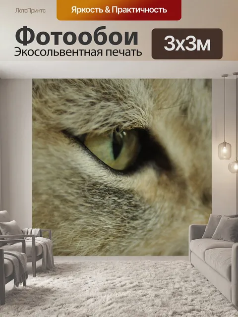 Фотообои Глаз кошки